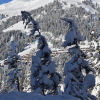 Sneeuw in Königsleiten